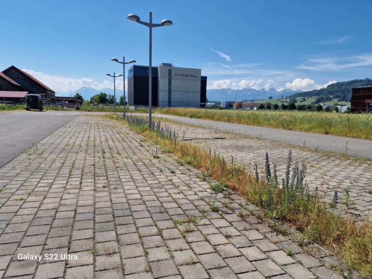 Reinigung und Hauswartung, Gartenpflege, Gartenarbeit, Rasenpflege, Rasenmähen, Baumpflege, Baum schneiden, Hecken, Büsche, Grünpflege, Gehwegreinigung, freischneider, fadenmäher, rasenkanten, Parkplatz, Terasse