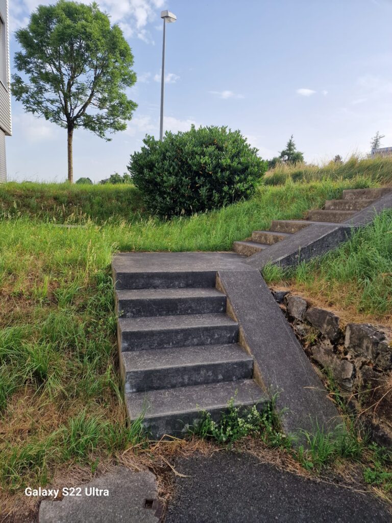 Reinigung und Hauswartung, Gartenpflege, Gartenarbeit, Rasenpflege, Rasenmähen, Baumpflege, Baum schneiden, Hecken, Büsche, Grünpflege, Gehwegreinigung, freischneider, fadenmäher, rasenkanten, Parkplatz, Terasse