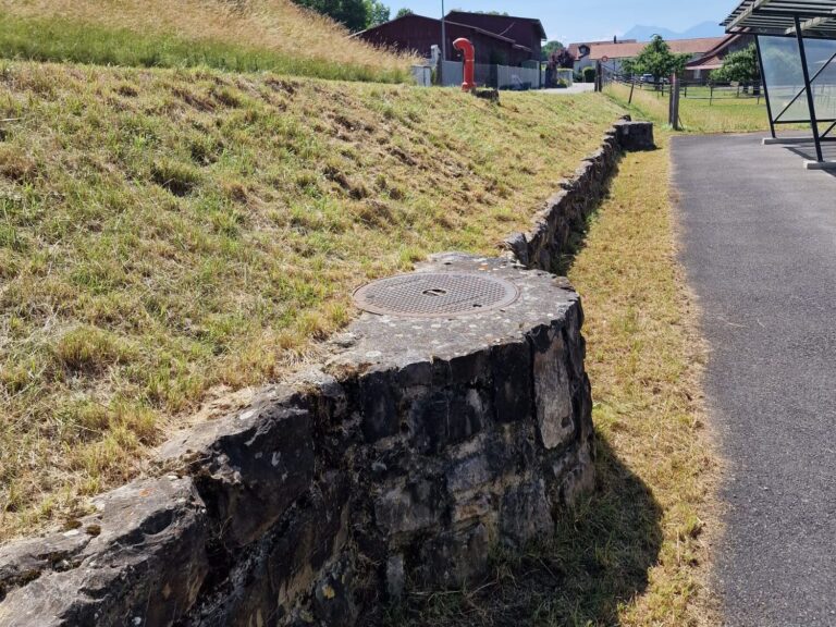 Reinigung und Hauswartung, Gartenpflege, Gartenarbeit, Rasenpflege, Rasenmähen, Baumpflege, Baum schneiden, Hecken, Büsche, Grünpflege, Gehwegreinigung, freischneider, fadenmäher, rasenkanten,