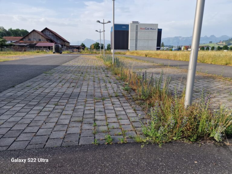 Reinigung und Hauswartung, Gartenpflege, Gartenarbeit, Rasenpflege, Rasenmähen, Baumpflege, Baum schneiden, Hecken, Büsche, Grünpflege, Gehwegreinigung, freischneider, fadenmäher, rasenkanten, Parkplatz, Terasse